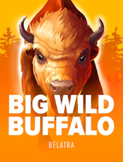 Big Wild Buffalo game image